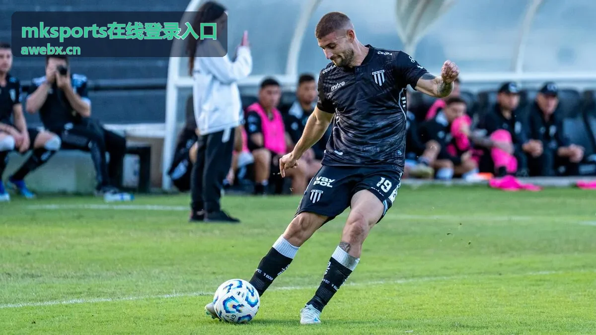 mksports在线登录入口验证码接收与短信拦截检查示意