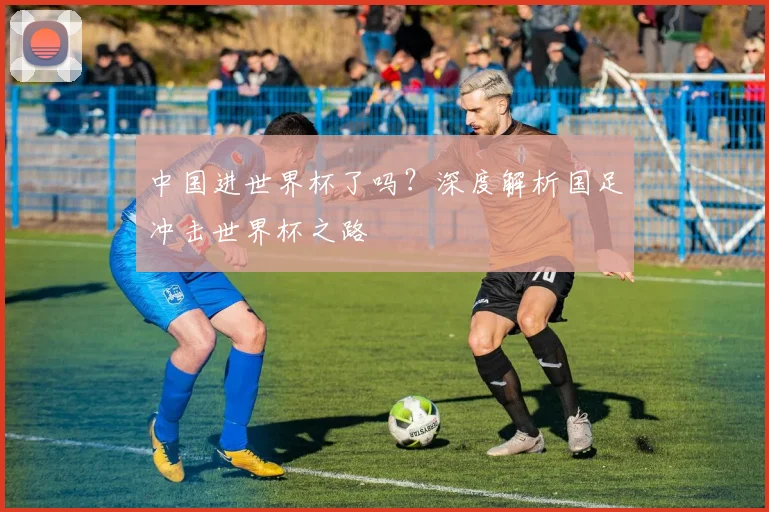 中国进世界杯了吗？深度解析国足冲击世界杯之路