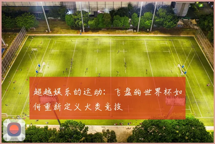 超越娱乐的运动：飞盘狗世界杯如何重新定义犬类竞技