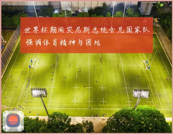 世界杯期间突尼斯总统会见国家队 强调体育精神与团结