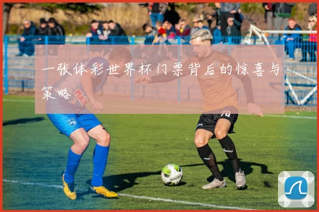 一张体彩世界杯门票背后的惊喜与策略