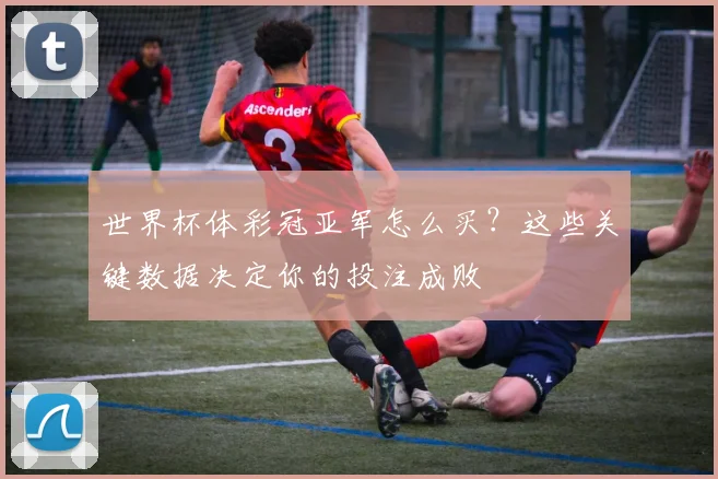 世界杯体彩冠亚军怎么买？这些关键数据决定你的投注成败