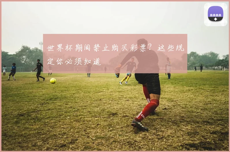世界杯期间禁止购买彩票？这些规定你必须知道