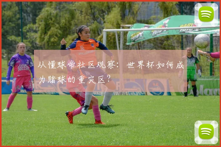 从懂球帝社区观察：世界杯如何成为赌球的重灾区？